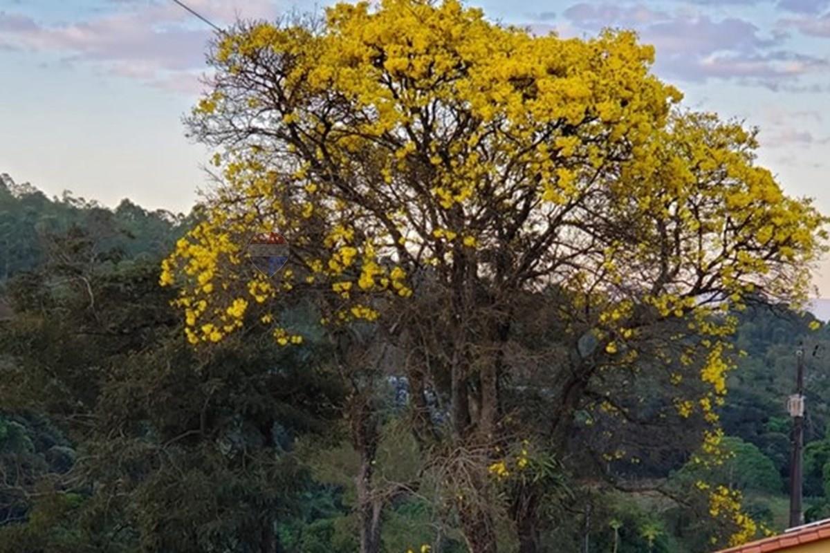 Fazenda em Rio Manso/Minas Gerais — Ref WVKOOZ — Imagem 56