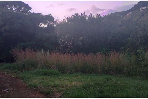 Commercial - Land - Diamond Village, St Vincent, St Vincent and the Grenadines - Caribbean & Central Ameri - 4 - 90109001-350