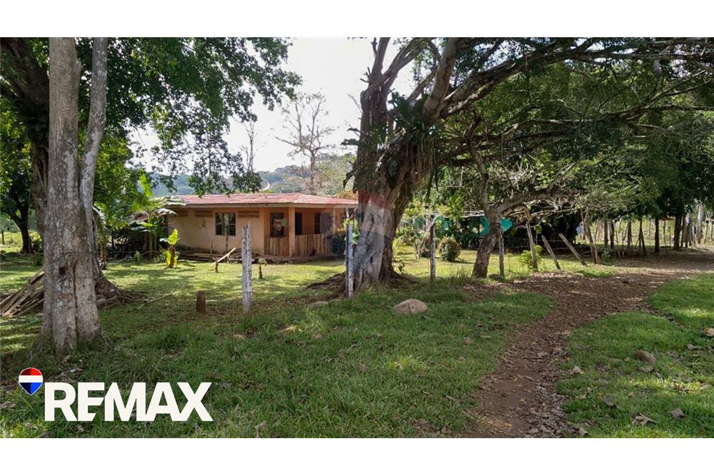 Commercial - Land - Parrita, Puntarenas - Parrita, Costa Rica - Caribbean & Central Ameri - 4 - 90168013-191