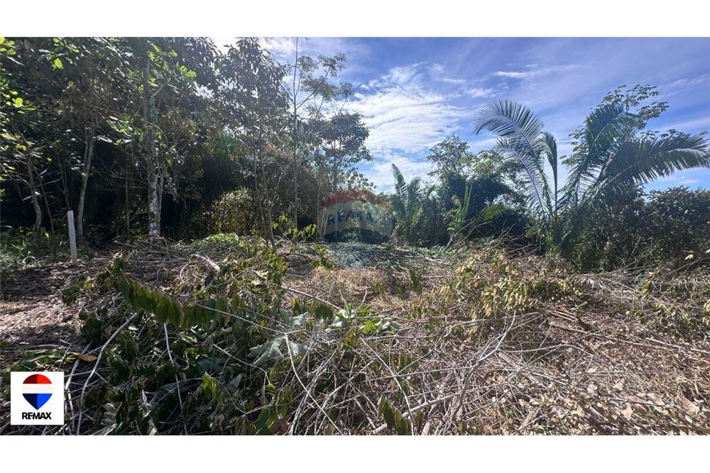 Commercial - Land - Parrita - Esterillos, Puntarenas - Parrita, Costa Rica - Caribbean & Central Ameri - 24 - 90168030-72