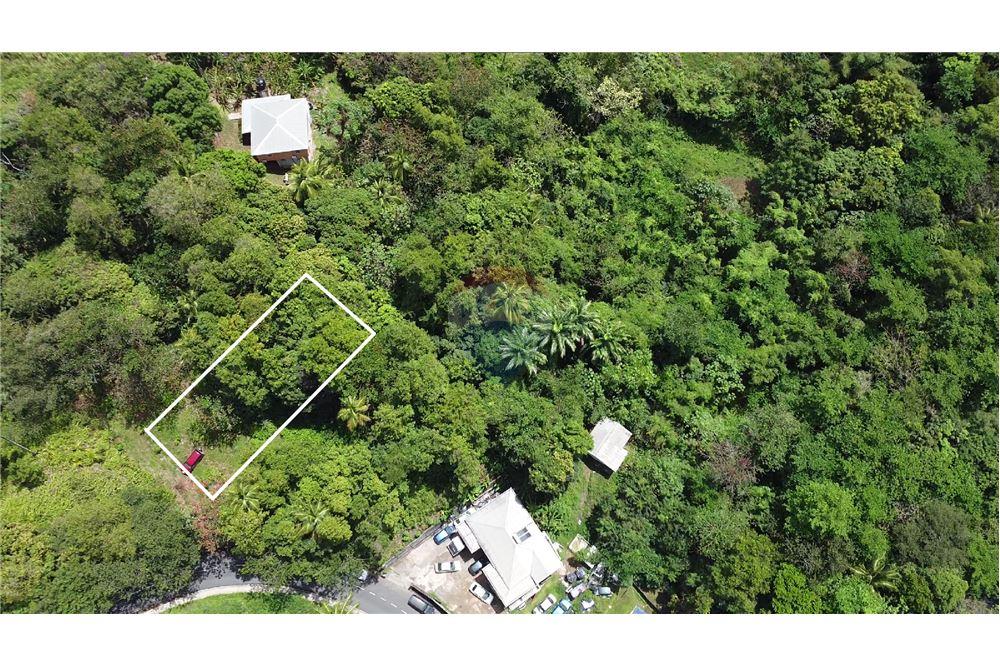 Commercial - Land - Balata, Castries, St Lucia - Caribbean & Central Ameri - 6 - 902071001-223