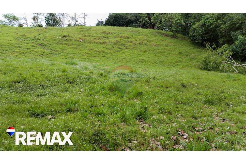 Commercial - Land - Parrita, Puntarenas - Parrita, Costa Rica - Caribbean & Central Ameri - 11 - 90168013-191