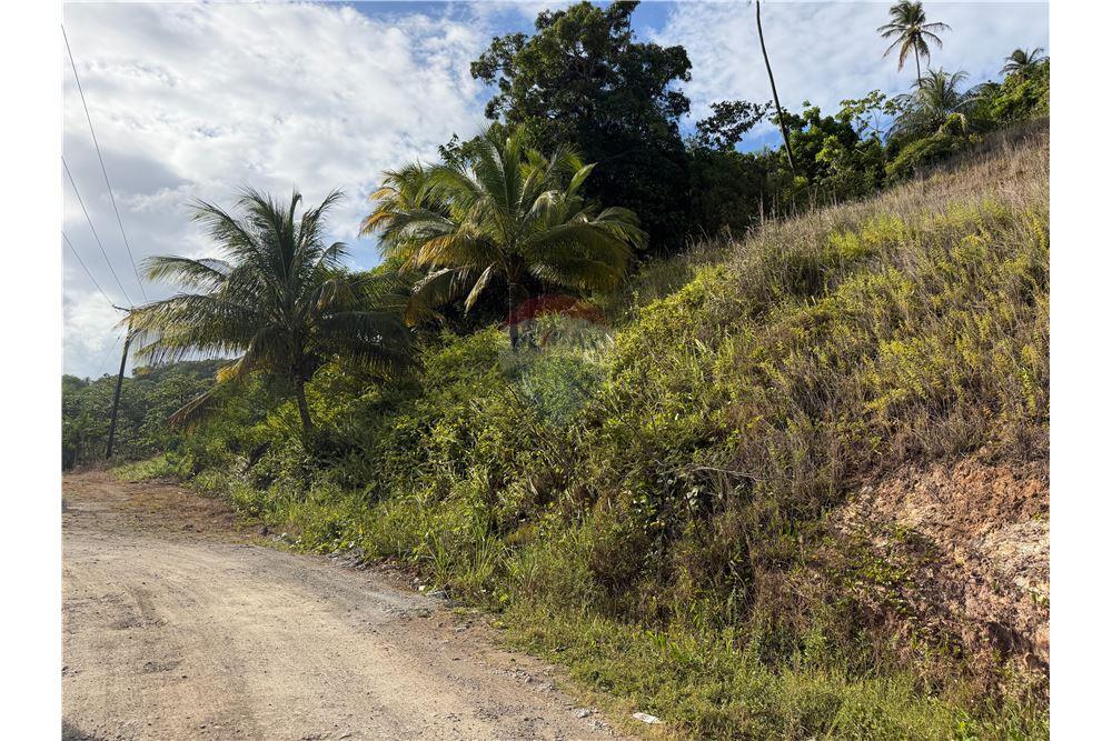 Commercial - Land - Castries, Castries, St Lucia - Caribbean & Central Ameri - 5 - 902071001-230