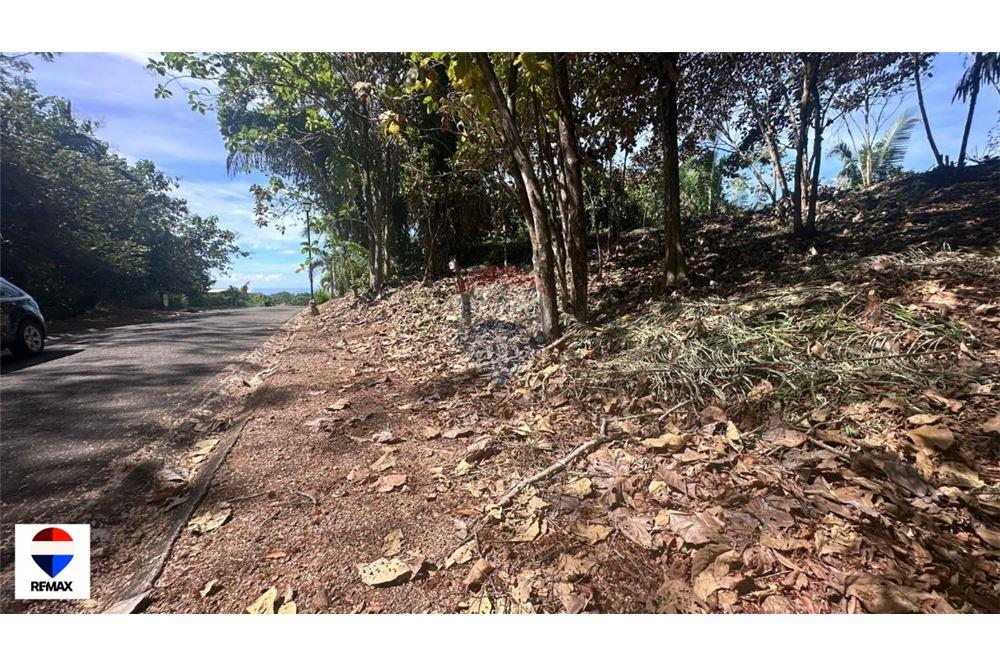 Commercial - Land - Parrita - Esterillos, Puntarenas - Parrita, Costa Rica - Caribbean & Central Ameri - 9 - 90168030-72