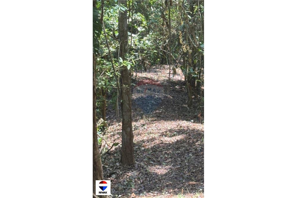Commercial - Land - Tarcoles - Quebrada Ganado, Puntarenas- Garabito, Costa Rica - Caribbean & Central Ameri - 23 - 90168030-59