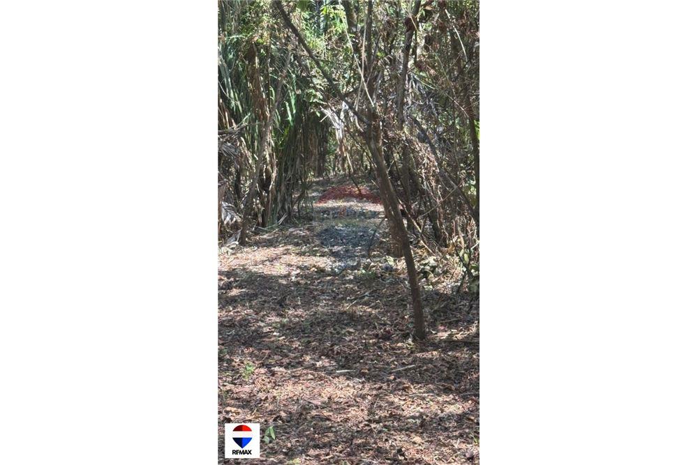 Commercial - Land - Tarcoles - Quebrada Ganado, Puntarenas- Garabito, Costa Rica - Caribbean & Central Ameri - 14 - 90168030-59