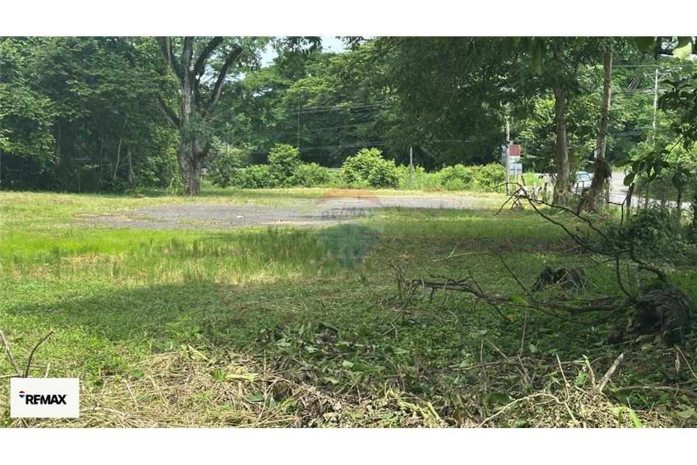 Commercial - Land - Puntarenas, Puntarenas - Puntarenas, Costa Rica - Caribbean & Central Ameri - 21 - 90168030-53