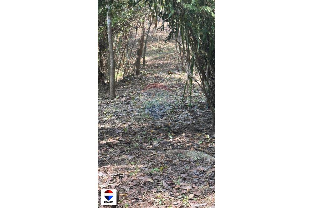 Commercial - Land - Tarcoles - Quebrada Ganado, Puntarenas- Garabito, Costa Rica - Caribbean & Central Ameri - 16 - 90168030-59