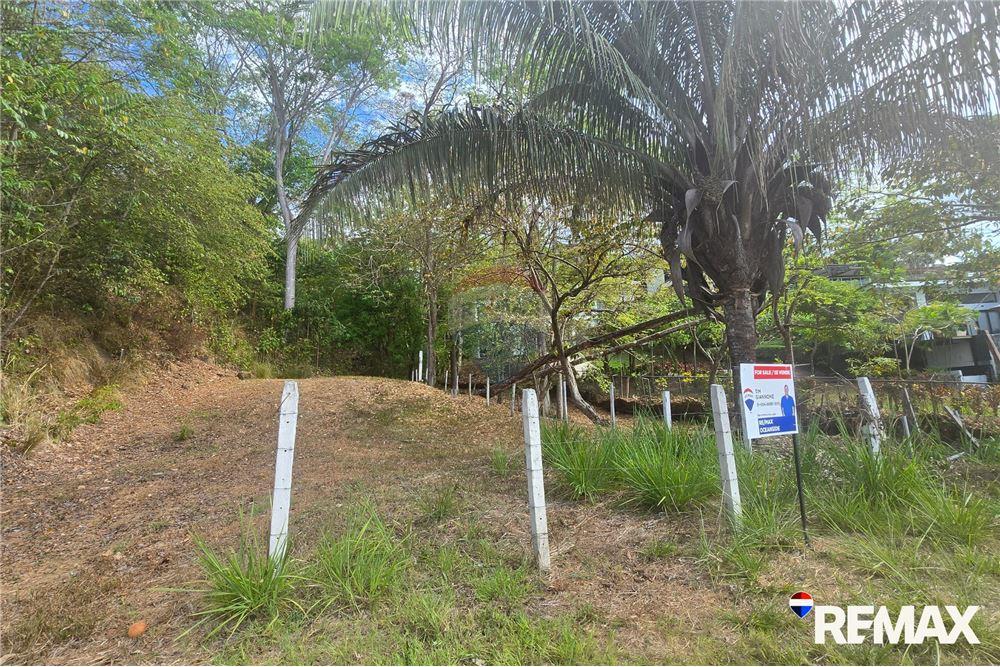 Commercial - Land - Jaco - Playa Hermosa, Puntarenas- Garabito, Costa Rica - Caribbean & Central Ameri - 16 - 90168005-720