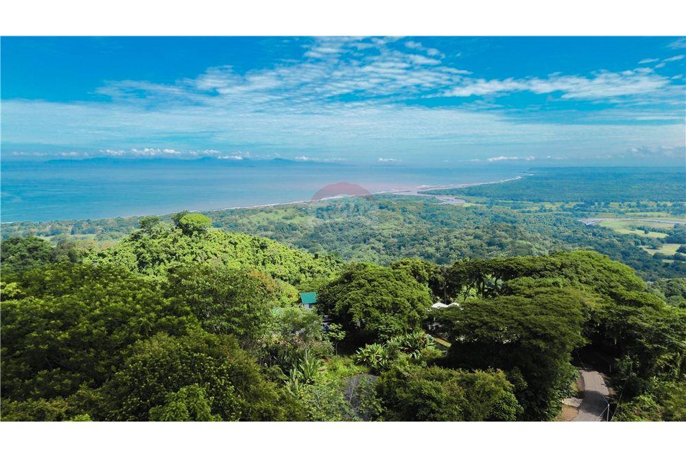 Commercial - Land - Puntarenas, Puntarenas - Puntarenas, Costa Rica - Caribbean & Central Ameri - 4 - 90168039-27