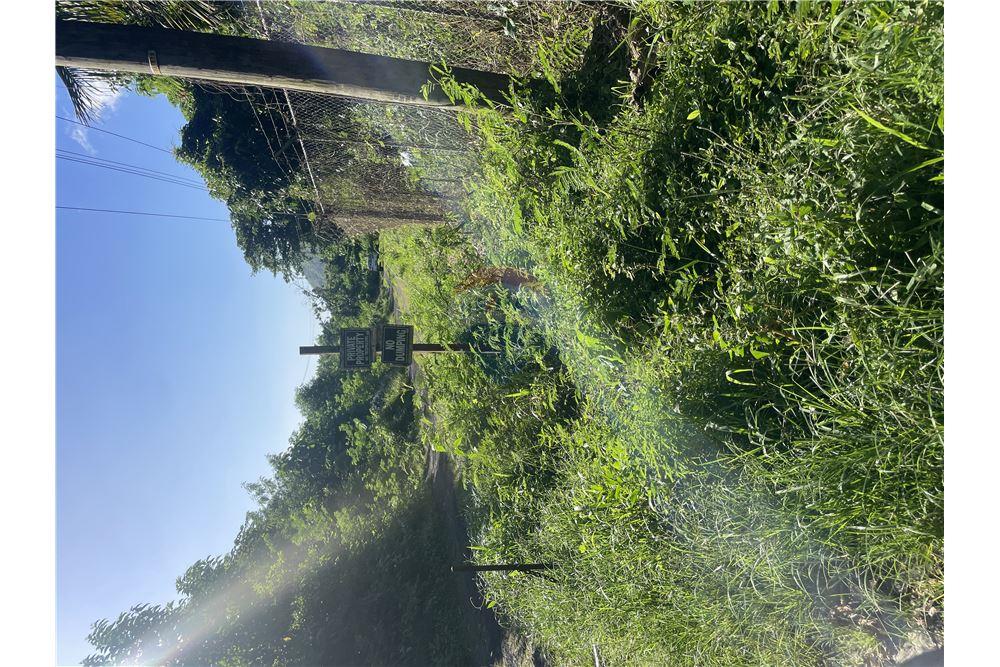 Commercial - Land - La Pearle, Soufrière, St Lucia - Caribbean & Central Ameri - 7 - 902071001-222