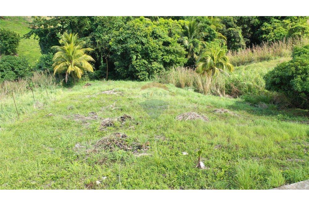 Commercial - Land - Sion Hill, St Vincent, St Vincent and the Grenadines - Caribbean & Central Ameri - 5 - 90109010-1