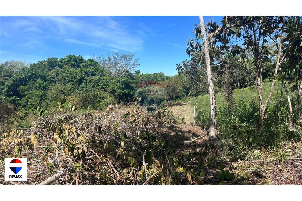 Commercial - Land - Parrita - Esterillos, Puntarenas - Parrita, Costa Rica - Caribbean & Central Ameri - 23 - 90168030-72