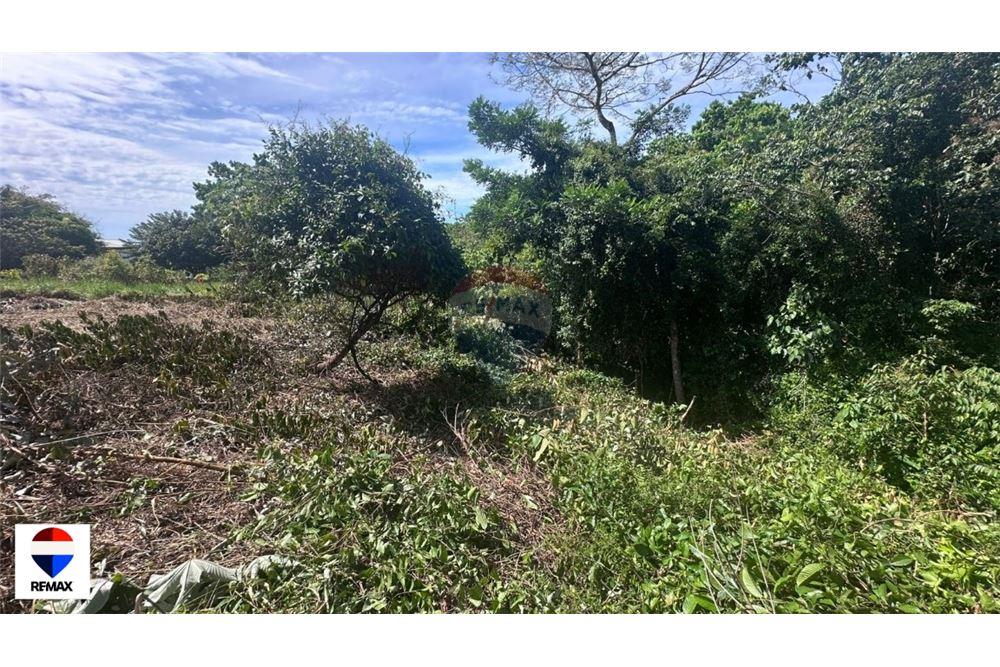 Commercial - Land - Parrita - Esterillos, Puntarenas - Parrita, Costa Rica - Caribbean & Central Ameri - 19 - 90168030-72
