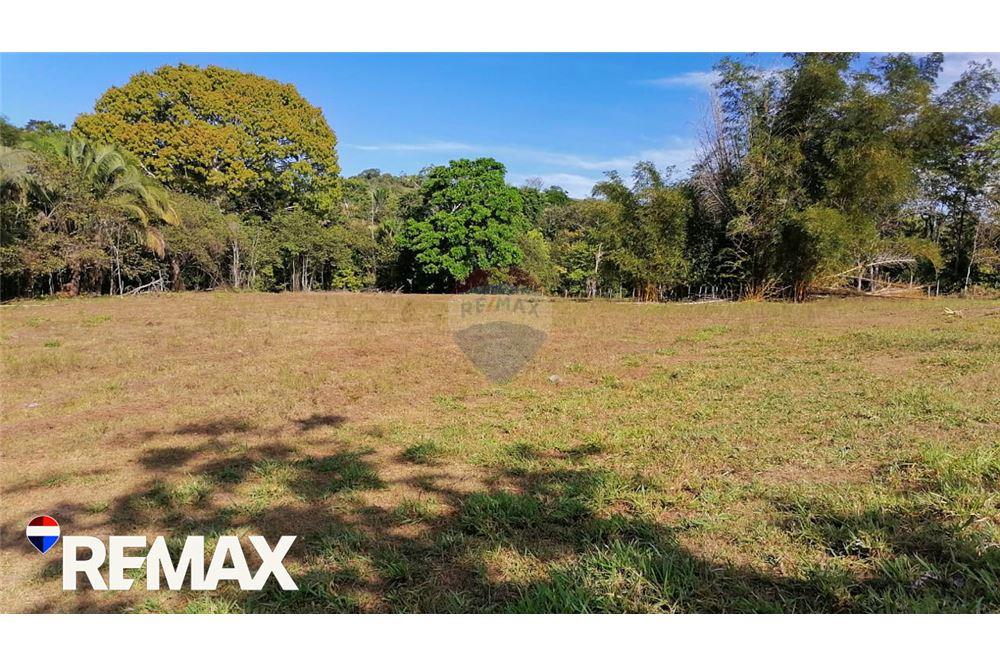 Commercial - Land - Parrita, Puntarenas - Parrita, Costa Rica - Caribbean & Central Ameri - 14 - 90168013-191