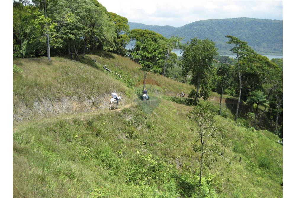 Commercial - Land - Golfito, Puntarenas - Golfito, Costa Rica - Caribbean & Central Ameri - 8 - 90168026-105