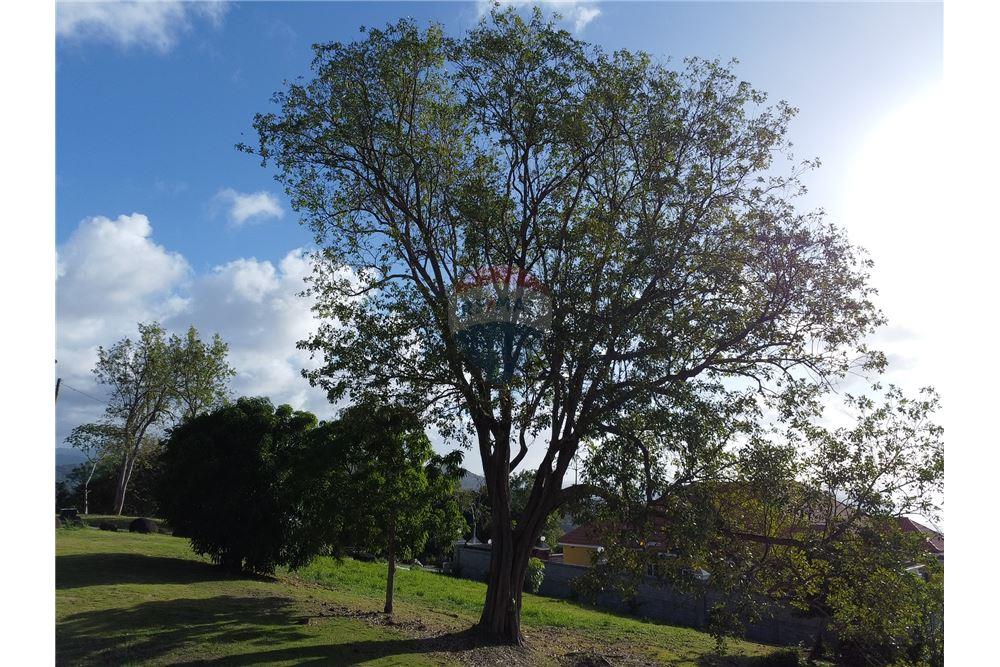 Residential - Villa - Castries, Castries, St Lucia - Caribbean & Central Ameri - 14 - 902071001-226