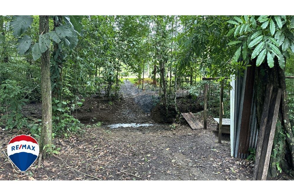 Commercial - Land - San José, San José, Costa Rica - Caribbean & Central Ameri - 7 - 90168030-67
