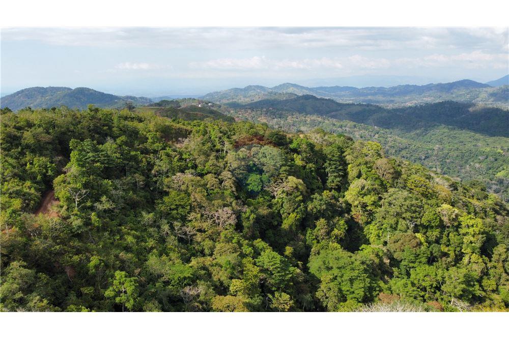 Commercial - Land - Bijagual, Puntarenas, Costa Rica - Caribbean & Central Ameri - 17 - 90168030-68