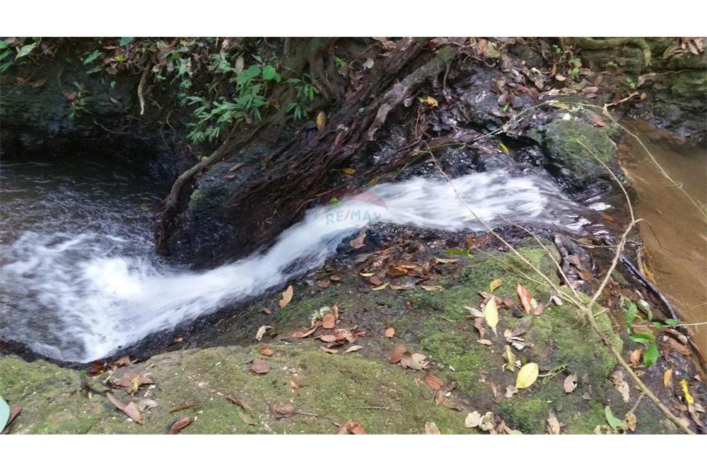 Commercial - Land - Bijagual, Puntarenas, Costa Rica - Caribbean & Central Ameri - 26 - 90168030-68