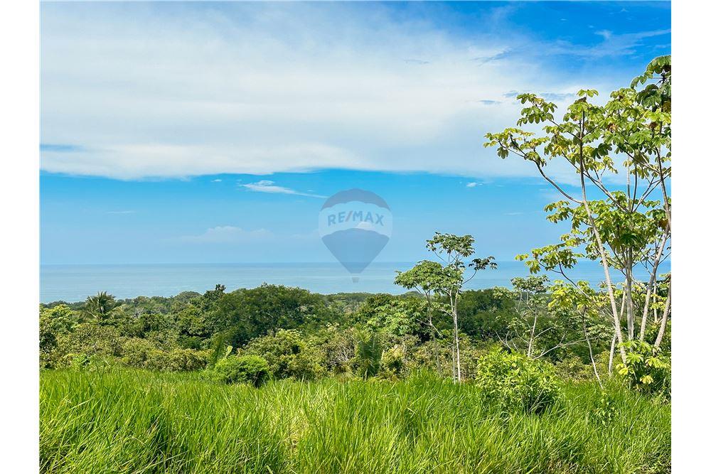 Commercial - Land - Parrita - Esterillos, Puntarenas - Parrita, Costa Rica - Caribbean & Central Ameri - 12 - 90168039-32