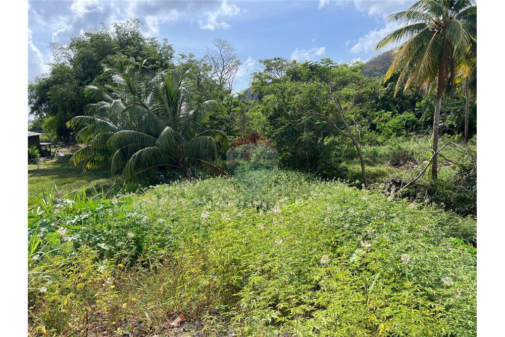 Commercial - Land - Buccament, St Vincent, St Vincent and the Grenadines - Caribbean & Central Ameri - 5 - 90109004-67