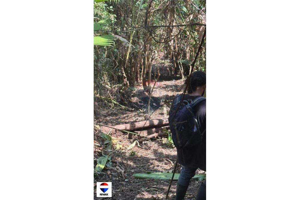 Commercial - Land - Tarcoles - Quebrada Ganado, Puntarenas- Garabito, Costa Rica - Caribbean & Central Ameri - 6 - 90168030-59