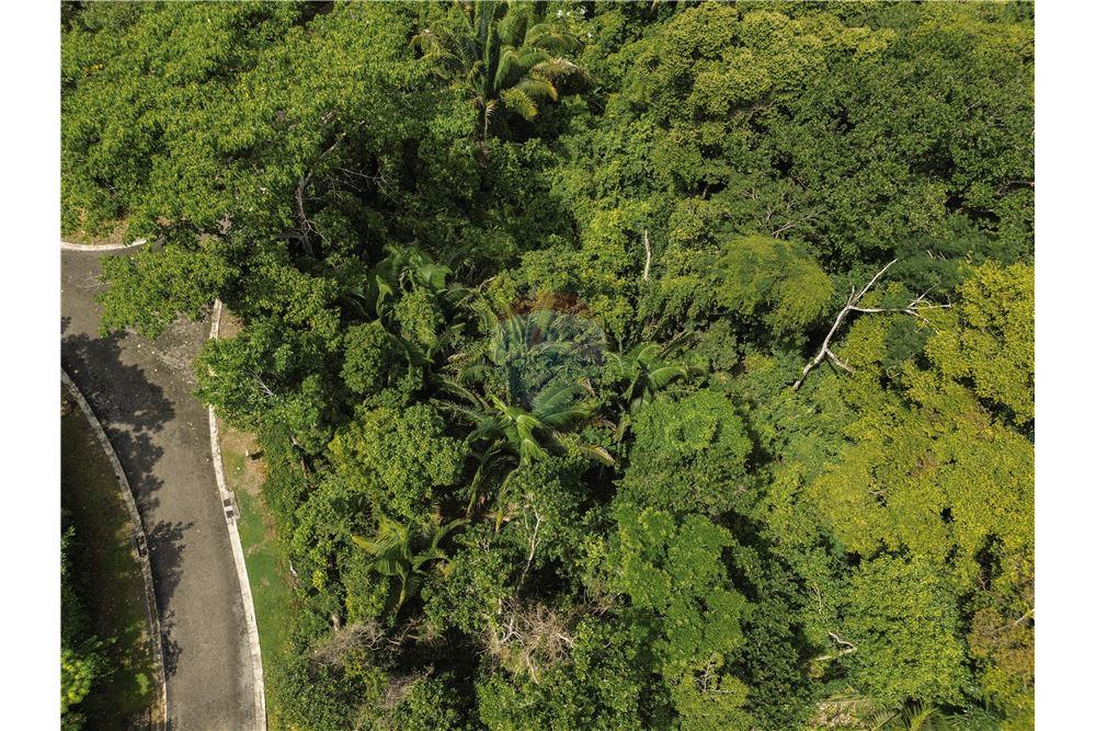 Commercial - Land - Parrita - Esterillos, Puntarenas - Parrita, Costa Rica - Caribbean & Central Ameri - 8 - 90168039-32