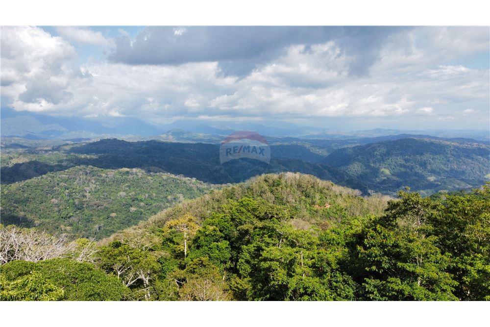 Commercial - Land - Bijagual, Puntarenas, Costa Rica - Caribbean & Central Ameri - 16 - 90168030-68