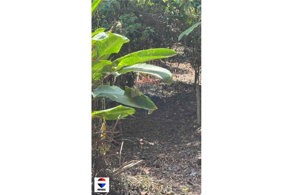 Commercial - Land - Tarcoles - Quebrada Ganado, Puntarenas- Garabito, Costa Rica - Caribbean & Central Ameri - 15 - 90168030-59
