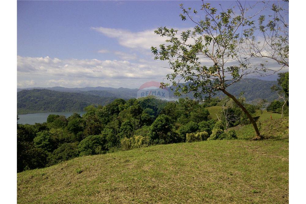 Commercial - Land - Golfito, Puntarenas - Golfito, Costa Rica - Caribbean & Central Ameri - 5 - 90168026-105