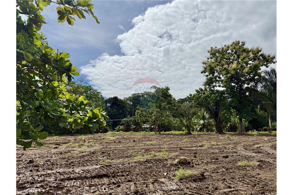 Commercial - Land - Pavones, Guanacaste, Costa Rica - Caribbean & Central Ameri - 5 - 90168026-91
