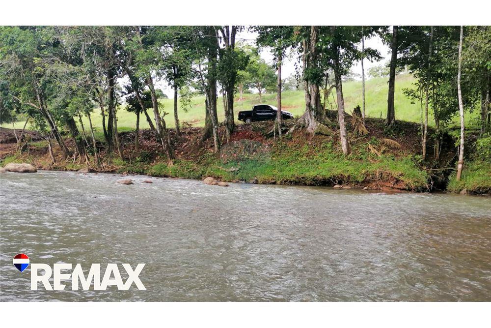 Commercial - Land - Parrita, Puntarenas - Parrita, Costa Rica - Caribbean & Central Ameri - 9 - 90168013-191
