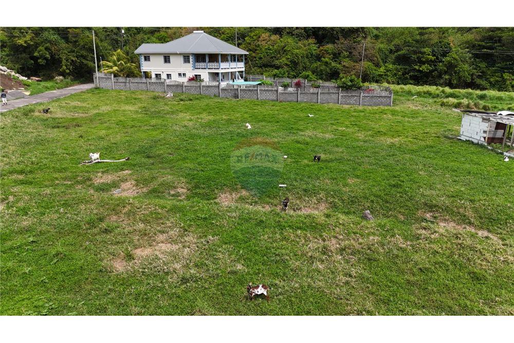 Commercial - Land - Prospect, St Vincent, St Vincent and the Grenadines - Caribbean & Central Ameri - 4 - 90109004-75