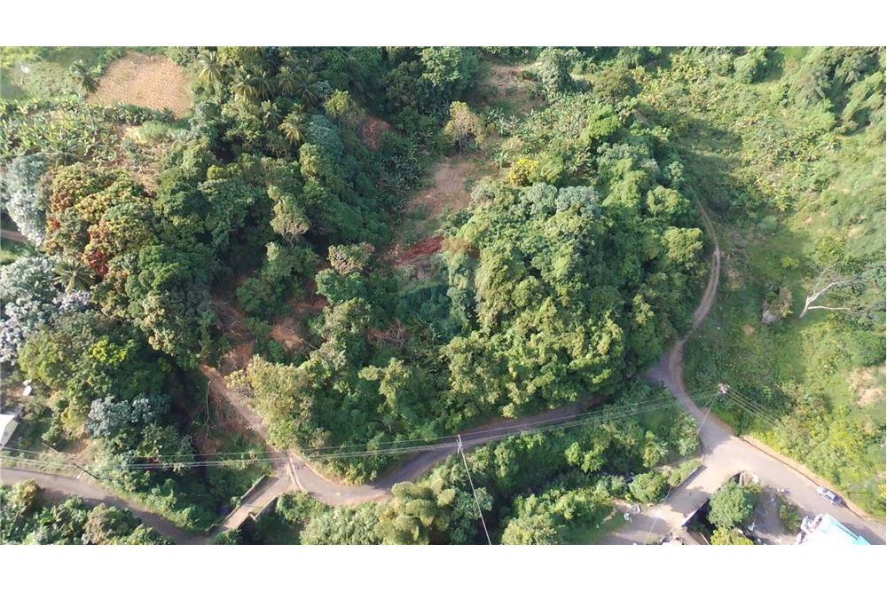 Commercial - Land - Adelphi, St Vincent, St Vincent and the Grenadines - Caribbean & Central Ameri - 6 - 90109004-59