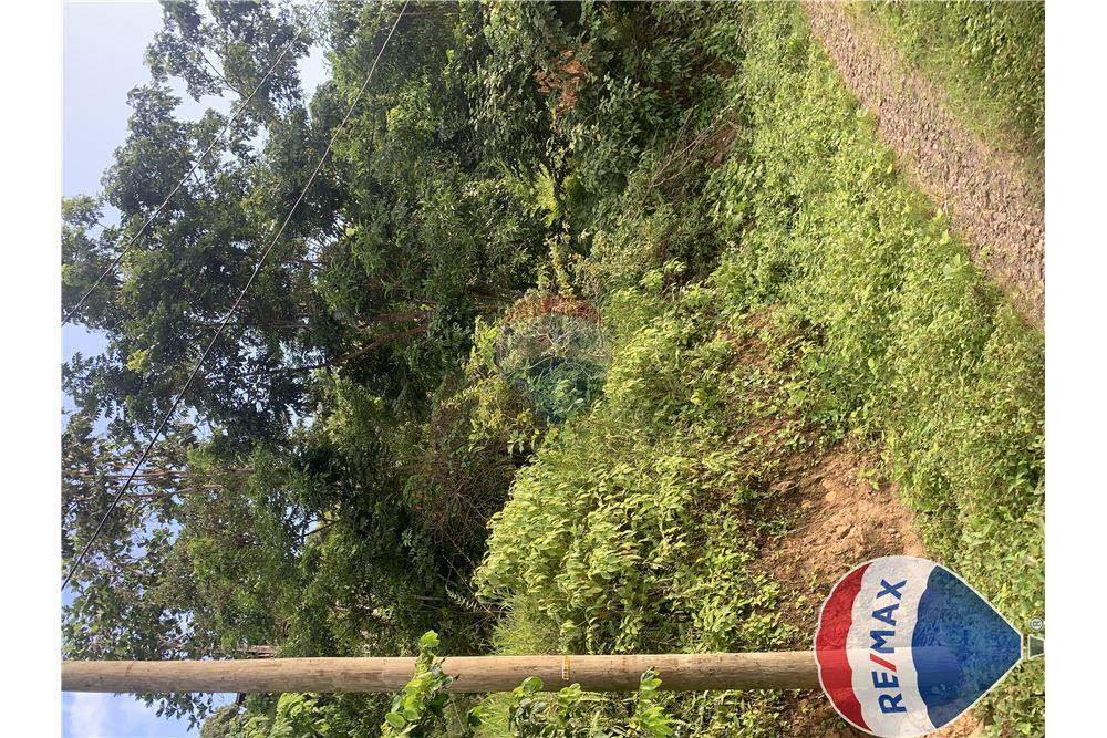 Commercial - Land - Monchy, Dauphin, St Lucia - Caribbean & Central Ameri - 1 - 902071001-228
