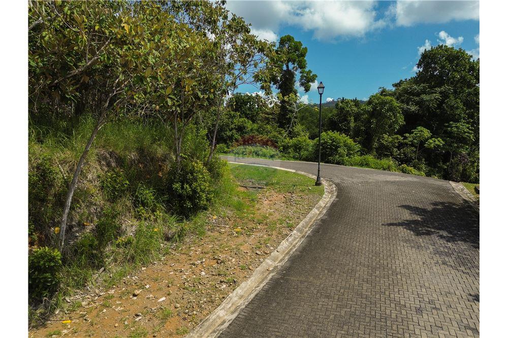 Commercial - Land - Parrita - Esterillos, Puntarenas - Parrita, Costa Rica - Caribbean & Central Ameri - 13 - 90168039-32