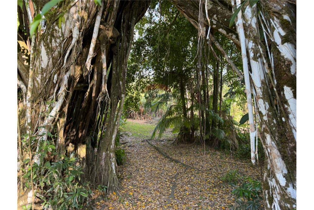 Residential - Villa - Pavones, Guanacaste, Costa Rica - Caribbean & Central Ameri - 9 - 90168026-104