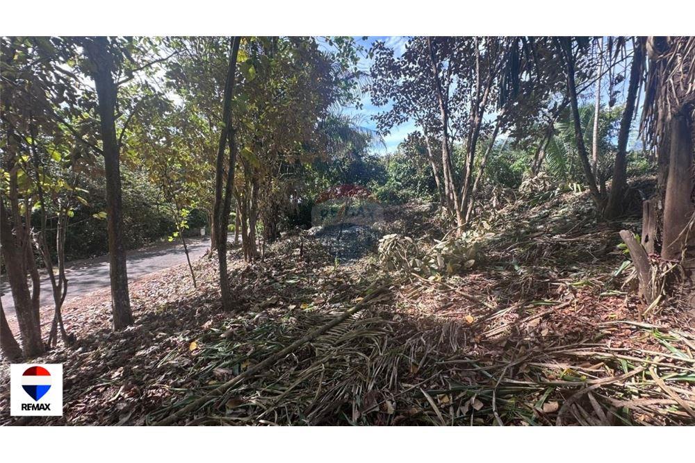 Commercial - Land - Parrita - Esterillos, Puntarenas - Parrita, Costa Rica - Caribbean & Central Ameri - 11 - 90168030-72