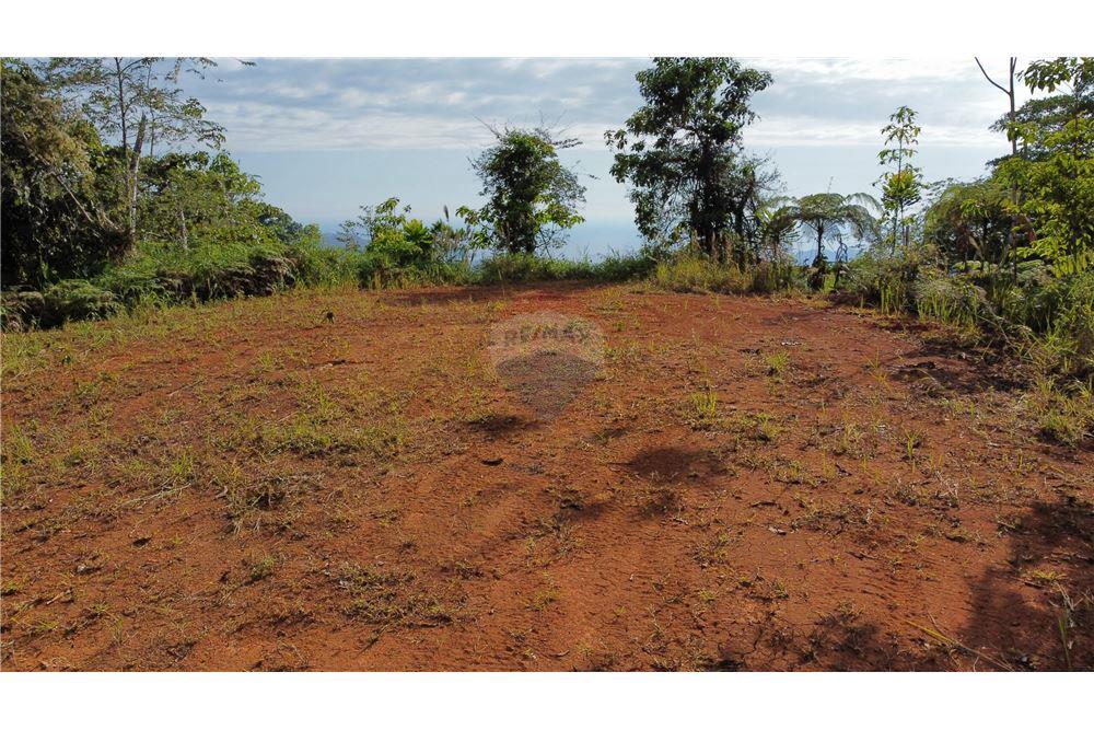 Commercial - Land - Bijagual, Puntarenas, Costa Rica - Caribbean & Central Ameri - 4 - 90168030-68