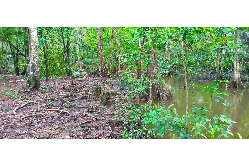 Residential - Villa - Puntarenas, Puntarenas - Puntarenas, Costa Rica - Caribbean & Central Ameri - 17 - 90168026-96