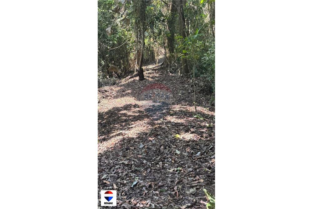 Commercial - Land - Tarcoles - Quebrada Ganado, Puntarenas- Garabito, Costa Rica - Caribbean & Central Ameri - 10 - 90168030-59