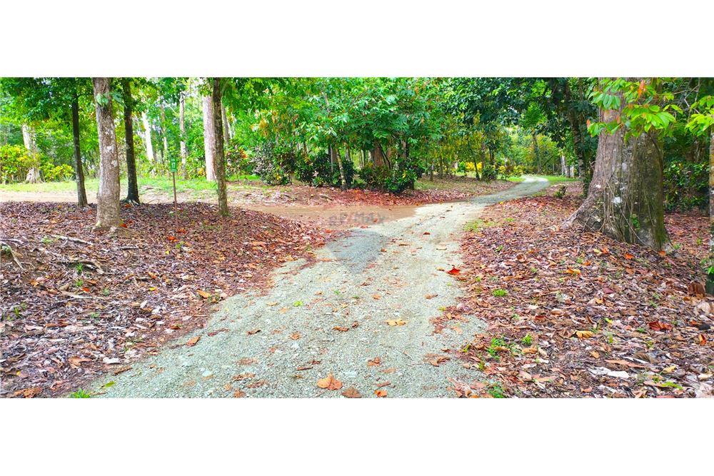 Residential - Villa - Puntarenas, Puntarenas - Puntarenas, Costa Rica - Caribbean & Central Ameri - 10 - 90168026-96