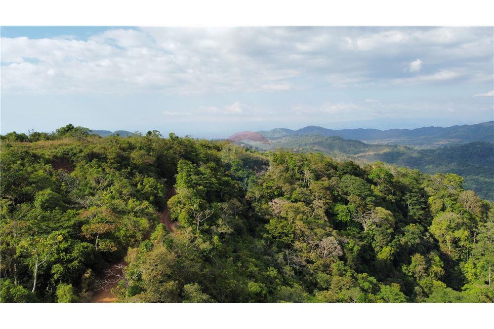 Commercial - Land - Bijagual, Puntarenas, Costa Rica - Caribbean & Central Ameri - 5 - 90168030-68