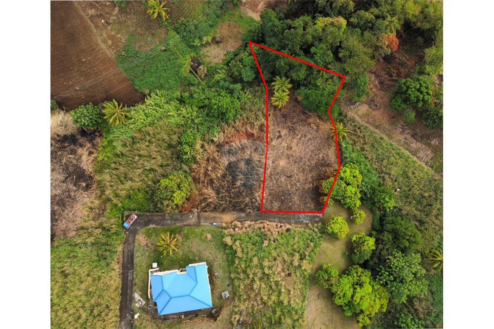 Commercial - Land - Sion Hill, St Vincent, St Vincent and the Grenadines - Caribbean & Central Ameri - 1 - 90109010-1