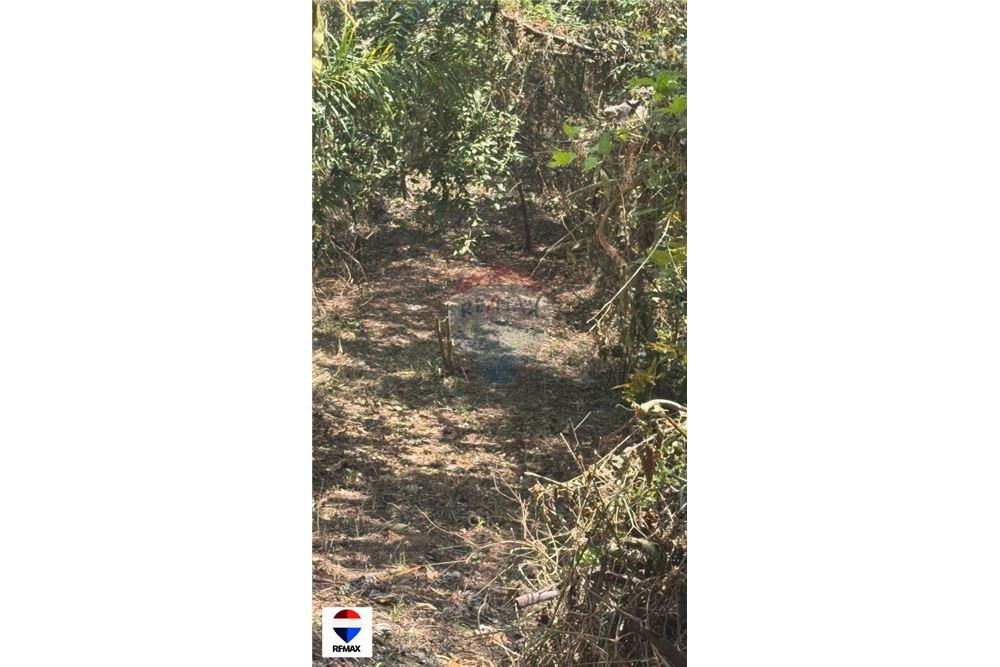 Commercial - Land - Tarcoles - Quebrada Ganado, Puntarenas- Garabito, Costa Rica - Caribbean & Central Ameri - 9 - 90168030-59