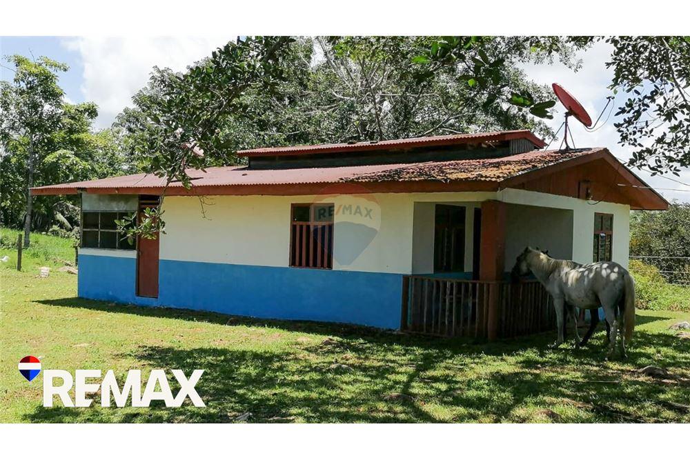 Commercial - Land - Parrita, Puntarenas - Parrita, Costa Rica - Caribbean & Central Ameri - 8 - 90168013-191