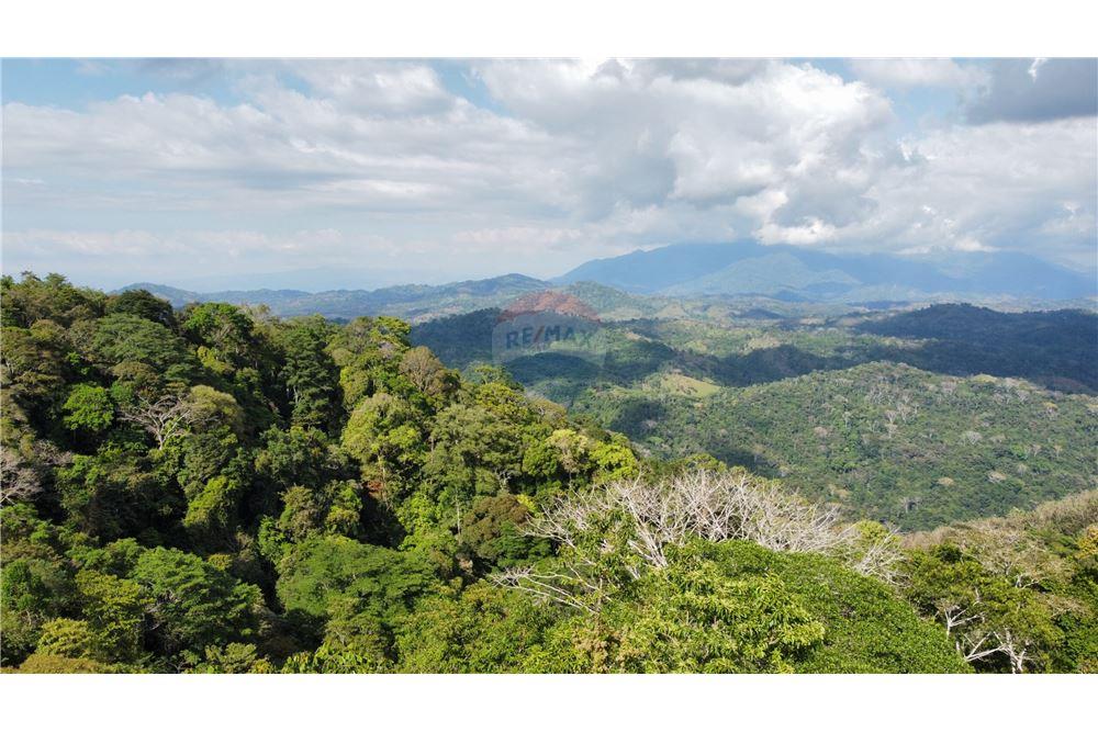 Commercial - Land - Bijagual, Puntarenas, Costa Rica - Caribbean & Central Ameri - 14 - 90168030-68