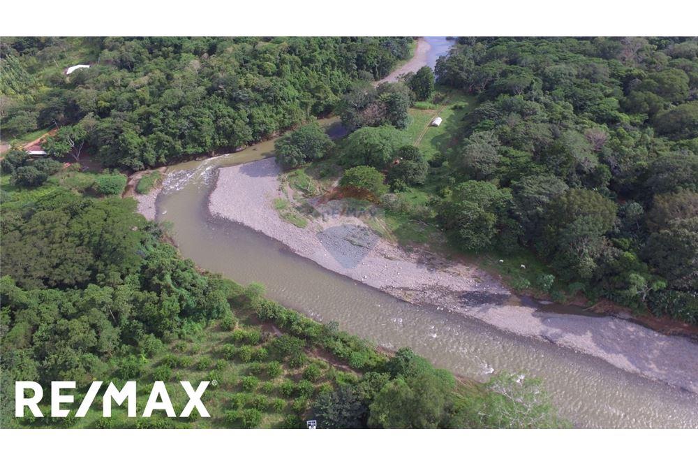 Commercial - Land - Puntarenas, Puntarenas - Puntarenas, Costa Rica - Caribbean & Central Ameri - 4 - 90168030-75
