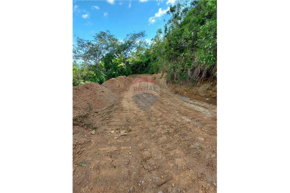 Commercial - Land - Bijagual, Puntarenas, Costa Rica - Caribbean & Central Ameri - 24 - 90168030-68